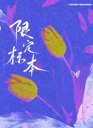 限定标本小说