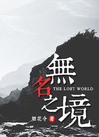 无名之境小说