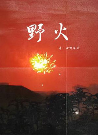 野火施泽小说