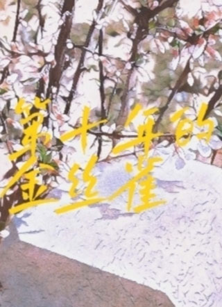 第十年的金丝雀小说
