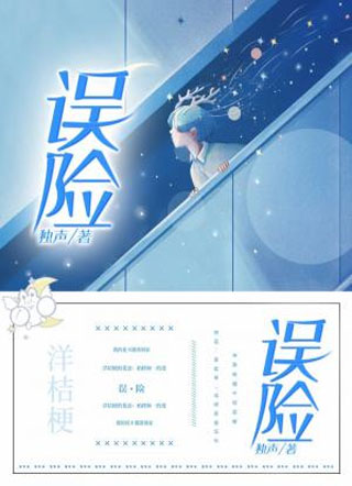 误险小说