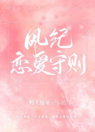 风纪恋爱守则小说