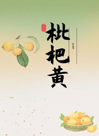 枇杷黄小说