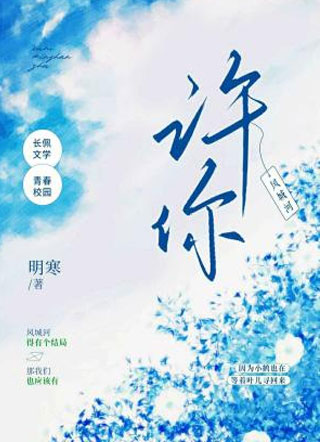 许你小说