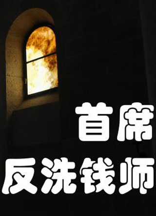 首席反洗钱师小说