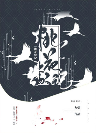 桃花缘记小说