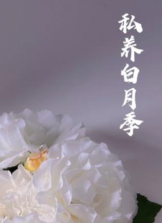 私养白月季小说