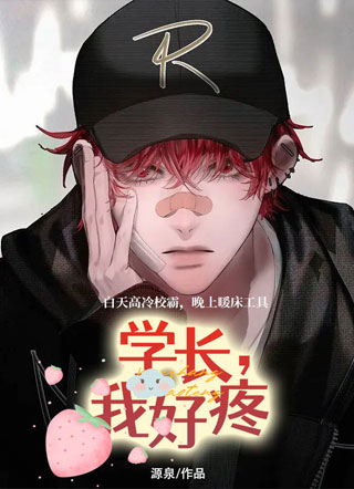 学长，我好疼小说