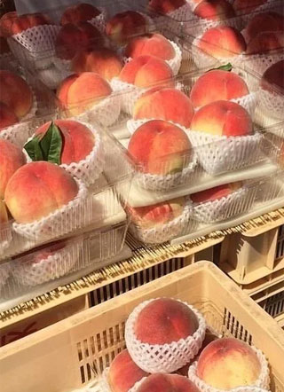 争锋拥抱小说