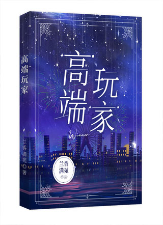 高端玩家小说