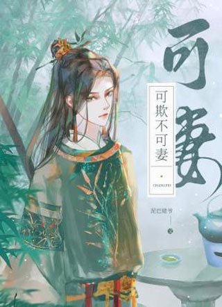 可欺不可妻小说