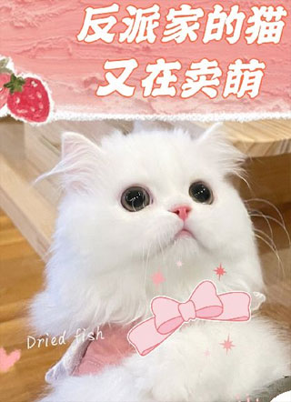 反派家的猫又在卖萌小说