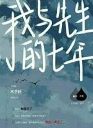 我与先生的七年小说