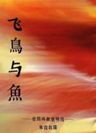 飞鸟与鱼先衡小说