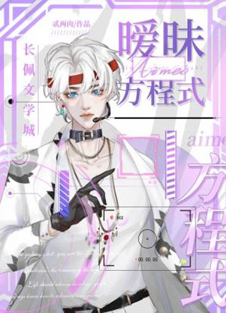 暧昧方程式小说
