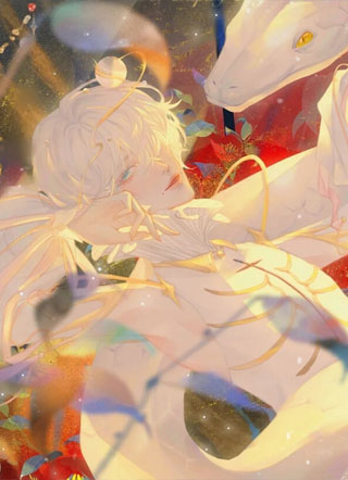 美人师兄不好当小说