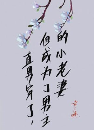 直男穿了，但成为了男主的小老婆小说