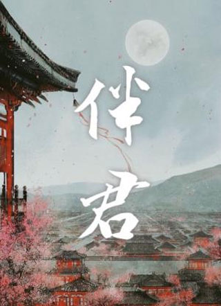 伴君小说