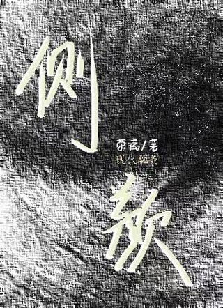 侧颜荣禹小说