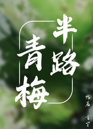 半路青梅小说