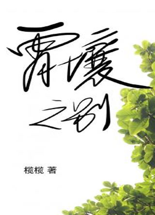 霄壤之别小说