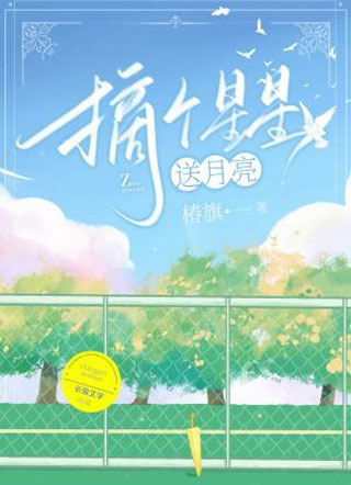 摘个星星送月亮小说