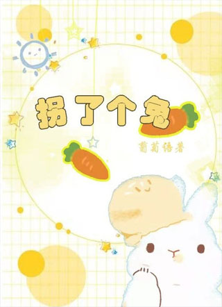 拐了个兔小说