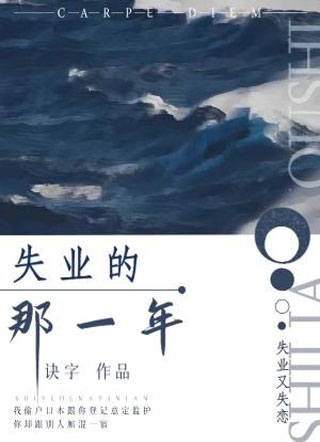 失业的那一年小说