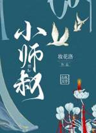 小师叔夜璇小说