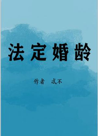 法定婚龄小说