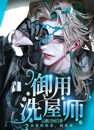 御用洗屋师小说