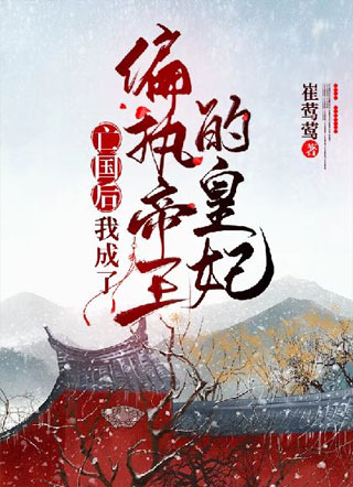 亡国后，我成了偏执帝王的皇妃小说