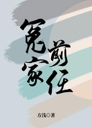 冤家前任小说