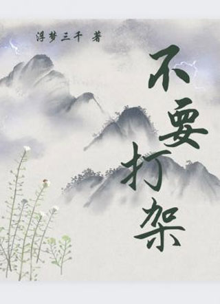 不要打架小说