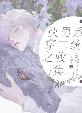 快穿之男二收集系统小说