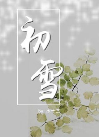 初雪水十三小说