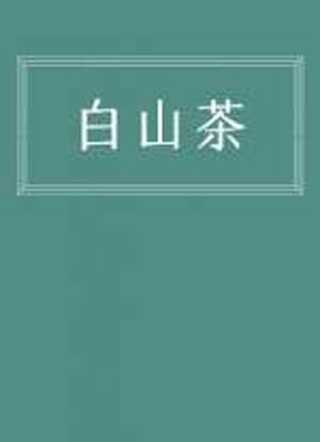 白山茶小说