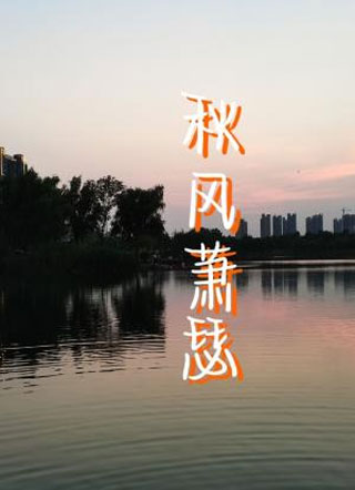 秋风萧瑟小说