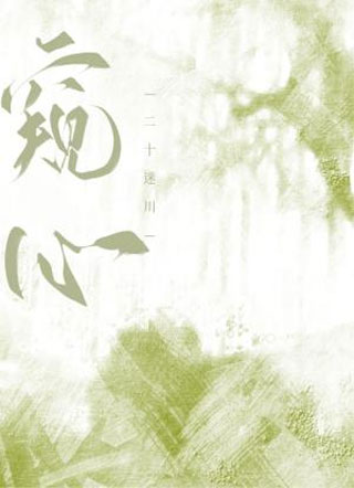 窥心小说