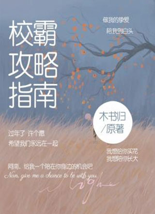 校霸攻略指南小说