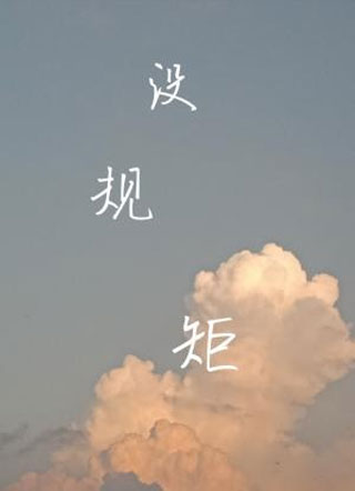 没规矩小说