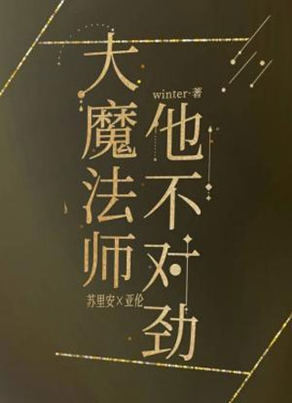 大魔法师他不对劲小说
