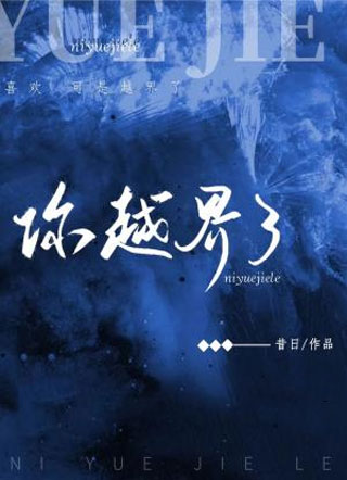 你越界了小说