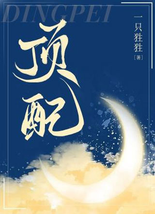 顶配小说
