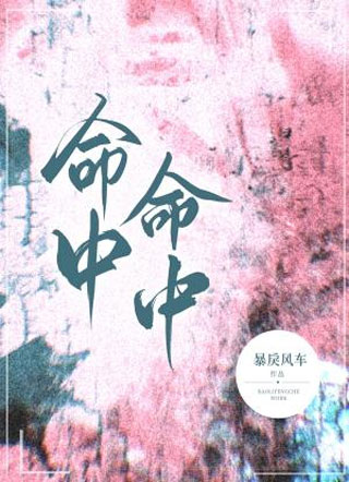 命中命中小说