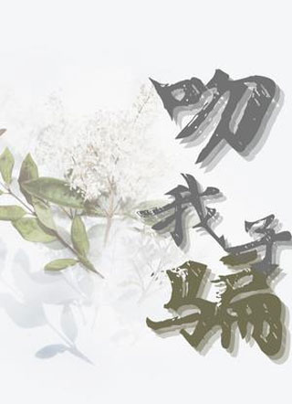 吻我骗子小说