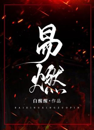 易燃小说
