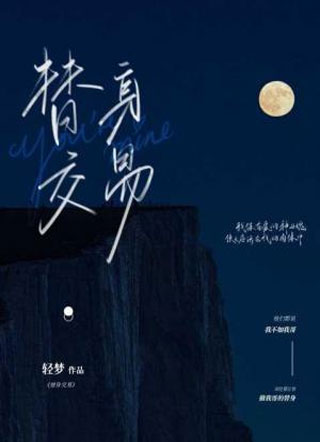 替身交易小说
