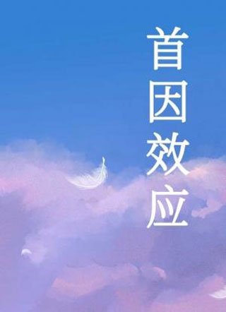 首因效应岁迟小说