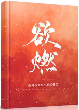 欲燃陆燃小说